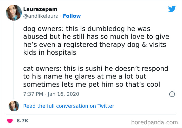 Funny-Cat-Tweets-Jokes