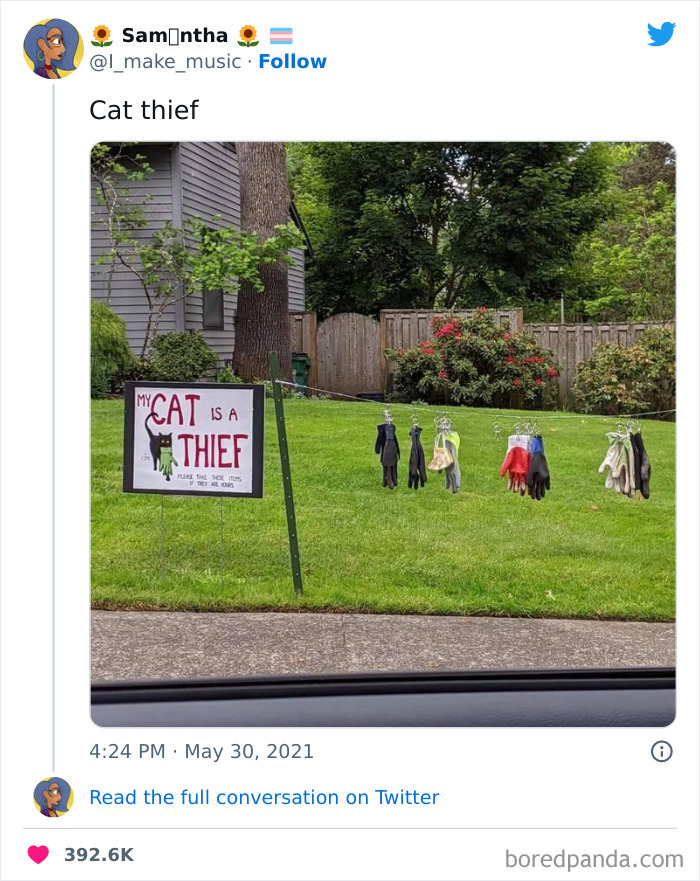 Funny-Cat-Tweets-Jokes