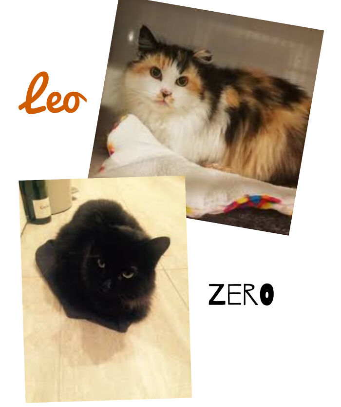 The Floof Masters, Leo And Zero!