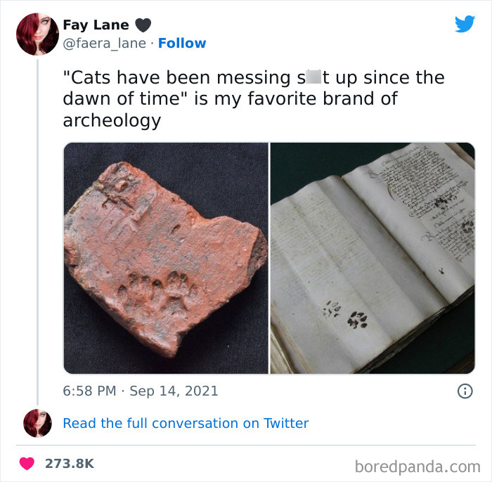 Funny-Cat-Tweets-Jokes