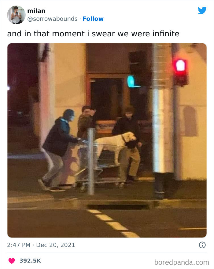 Funny-Tweets-About-Movies