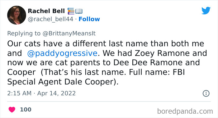 Funny-Cat-Names Funny-Cat-Names