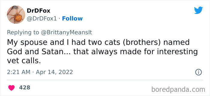 Funny-Cat-Names Funny-Cat-Names