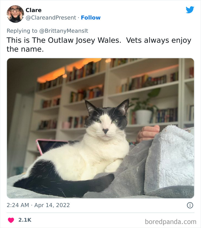 Funny-Cat-Names Funny-Cat-Names