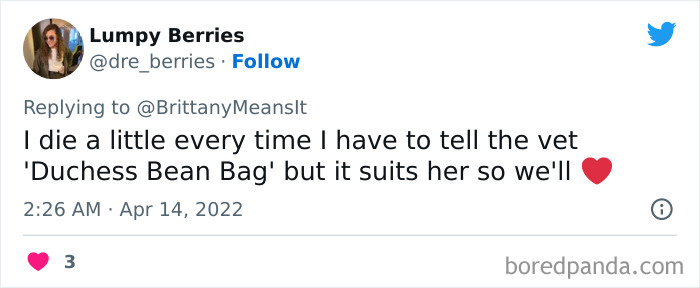 Funny-Cat-Names Funny-Cat-Names