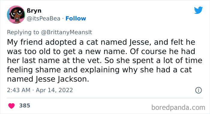 Funny-Cat-Names