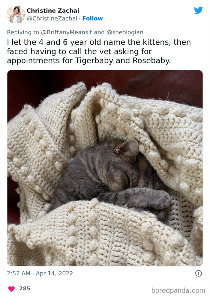 Funny-Cat-Names Funny-Cat-Names