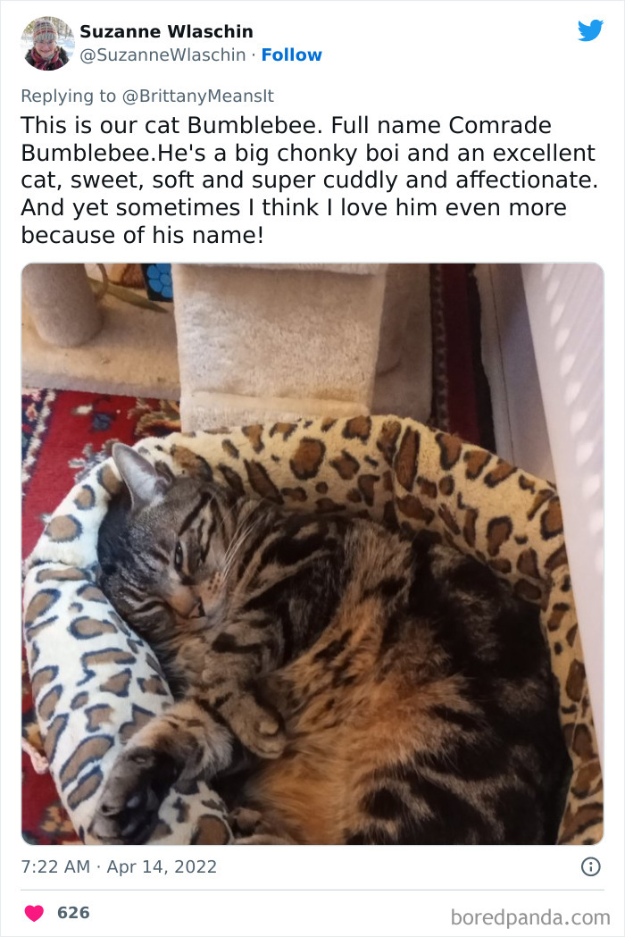 Funny-Cat-Names Funny-Cat-Names