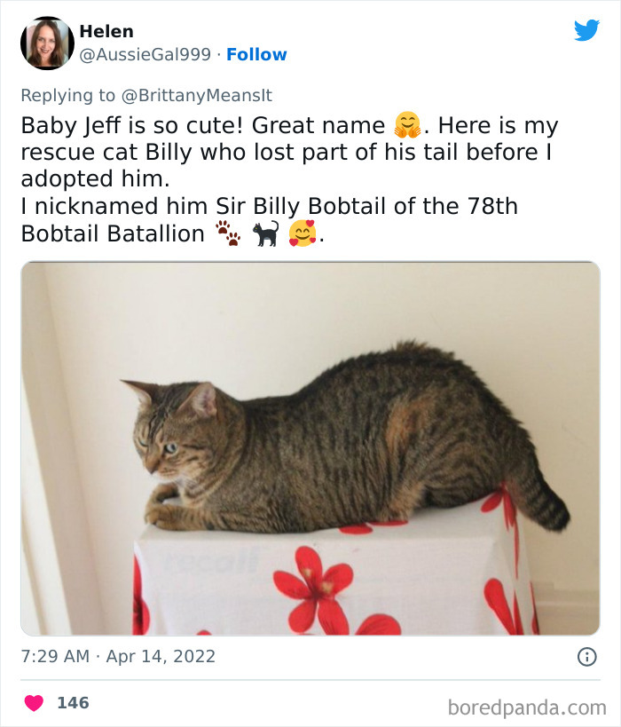 Funny-Cat-Names Funny-Cat-Names