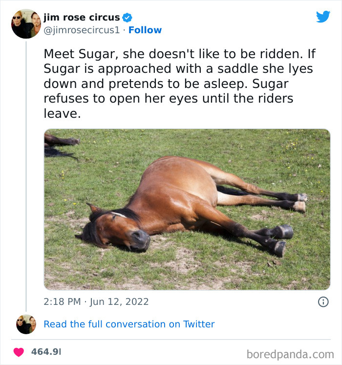 Sugar Is Smart