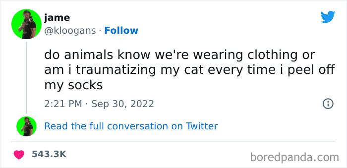 Funny-Cat-Tweets-Jokes