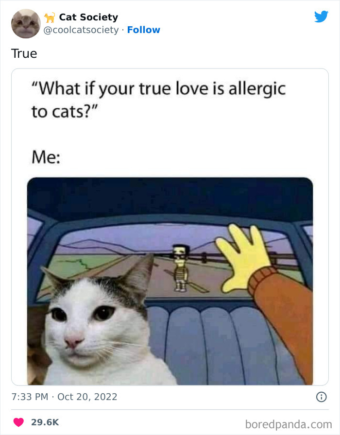 Funny-Cat-Tweets-Jokes