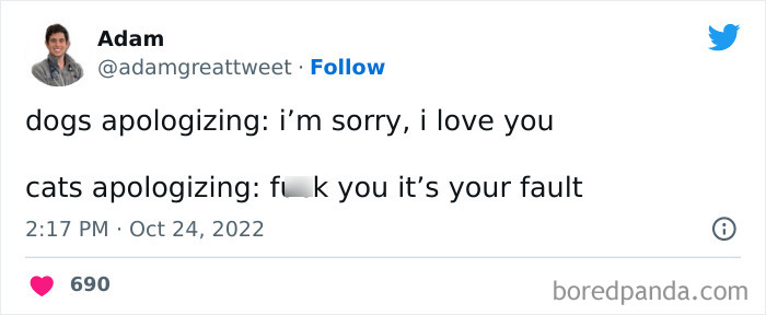 Funny-Cat-Tweets-Jokes