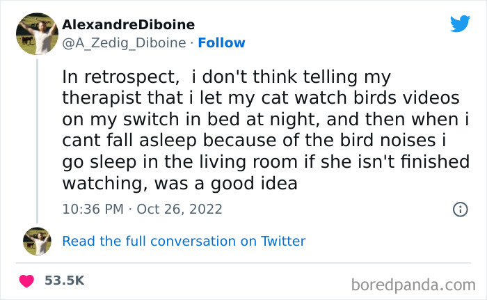 Funny-Cat-Tweets-Jokes