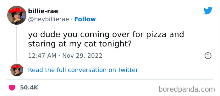Funny-Cat-Tweets-Jokes