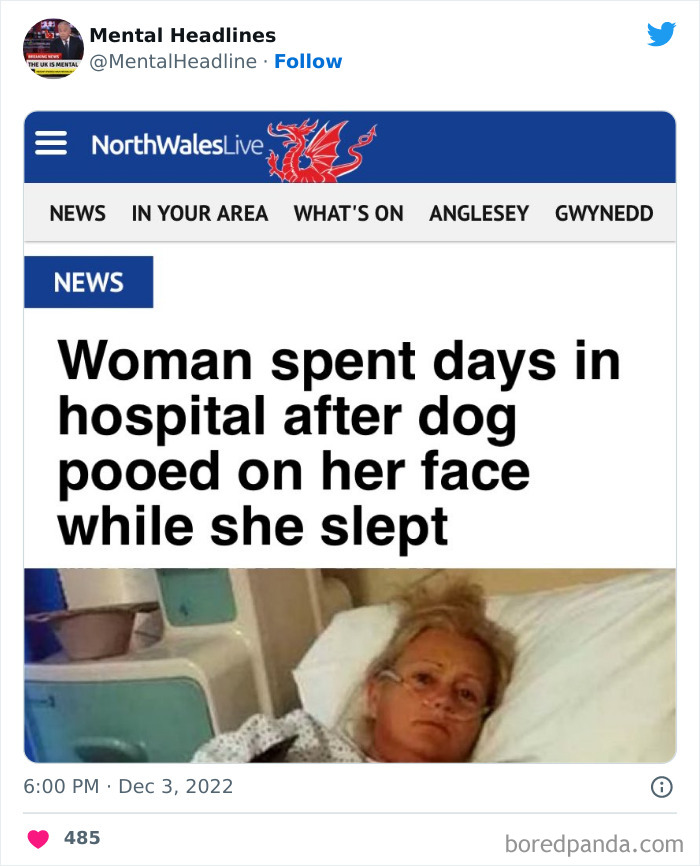 Funny-Mental-News-Headlines