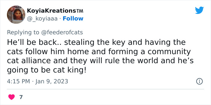 Wholesome story about boy whispering address to cat in pet store went viral after capturing the hearts of over 200,000 Twitter users