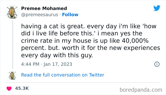 Funny-Cat-Tweets-Jokes