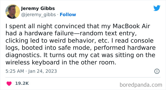 Funny-Cat-Tweets-Jokes