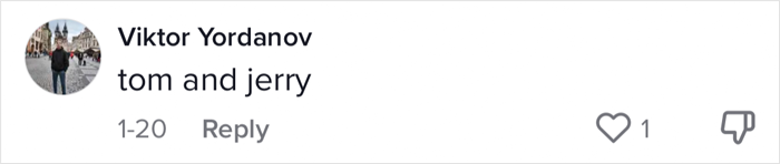 The Most Unlikely Friendship Formed Between This Cat And A Rat, Who Now Share An Inseparable Bond The Most Unlikely Friendship Formed Between This Cat And A Rat, Who Now Share An Inseparable Bond