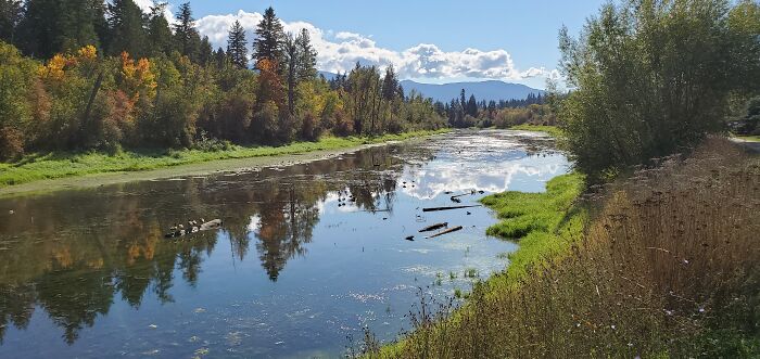 Enderby River, Bc, Canada