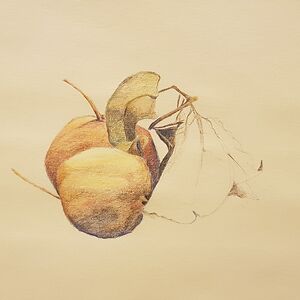 alessandra-checchi avatar