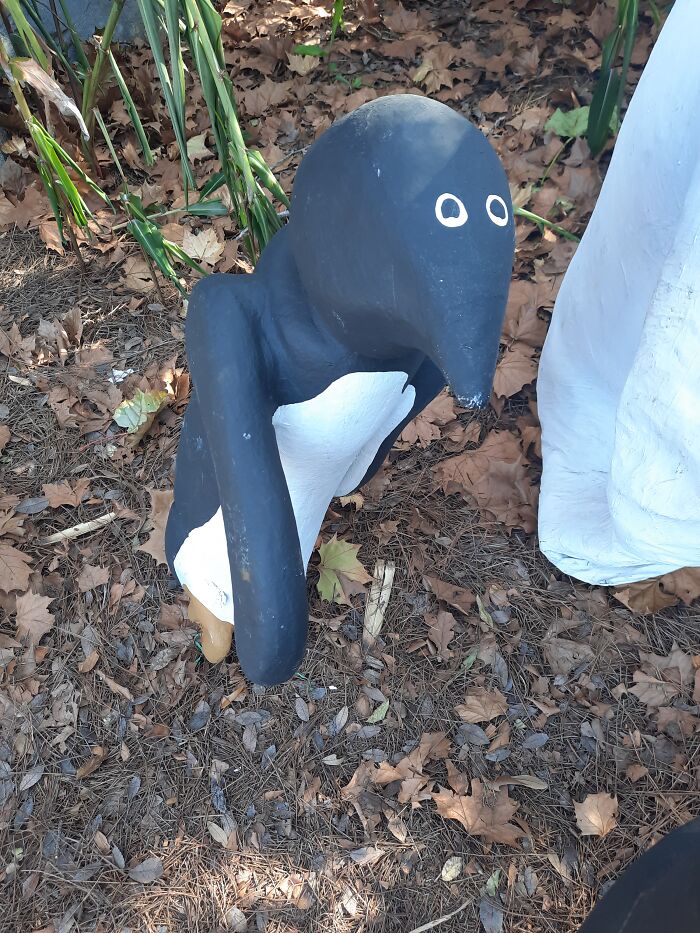 This Is What An Artist Deemed A Perfect Penguin At A High Ranked Zoo. I'm Not One To Complain About Boot Leg Penguins But I Also Don't Remember Them Having Black Beaks