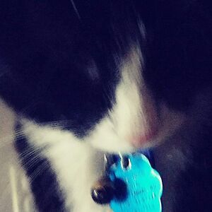 emmazimmerman319 avatar