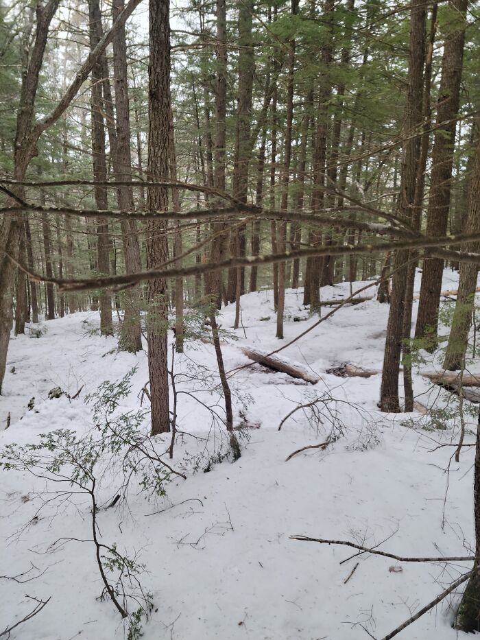 New Brunswick, Canada. A Little Brisk