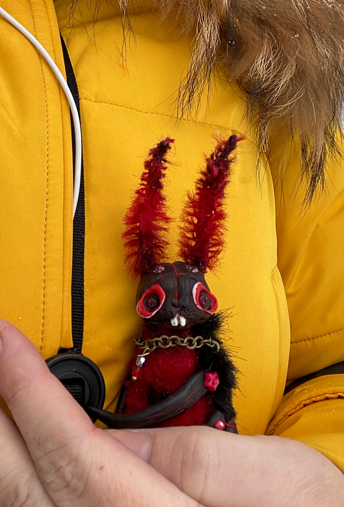 Collection Of Small Skeletons From The Enchanted Forest…