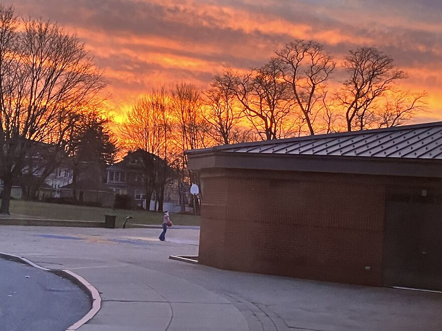 Needless To Say, I Looked Up From My Paper And The Sky Was On Fire