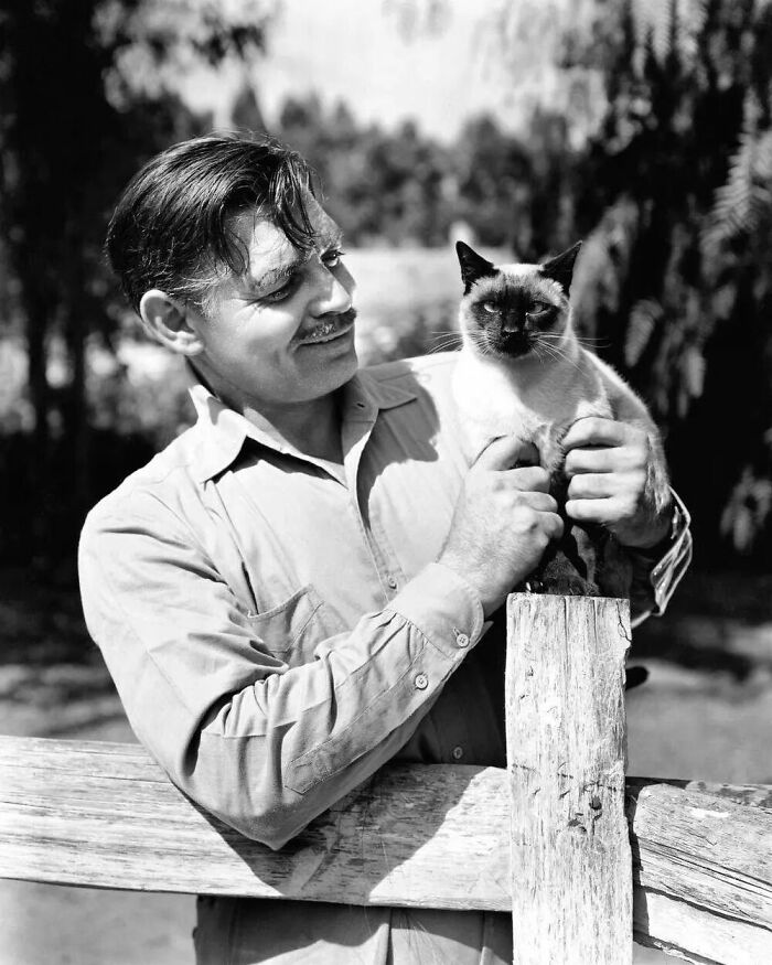 "The King Of Hollywood," American Actor Clark Gable, Posed With One Of The Cats That Lived On His Ranch In San Fernando Valley, California, United States, 1945