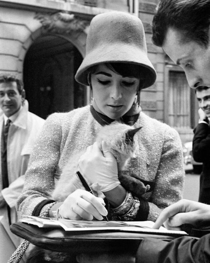 Accustomed To The Attention Of Fans, The Anglo-American Actress Elizabeth Taylor Caressed Her Kitten While Handing Out Autographs, 1961