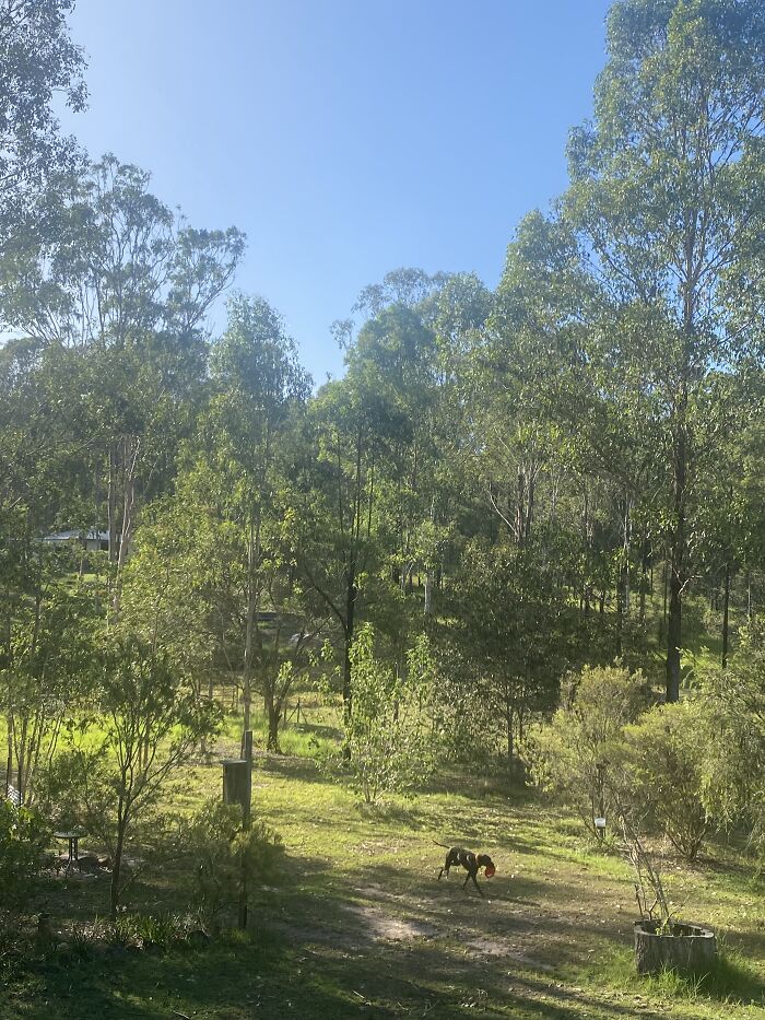 Sunny With A Nice Breeze 22c Queensland Australia