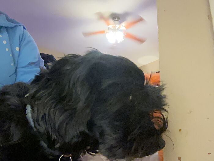 Don’t Post On This, I Have No Idea How To Delete This😭