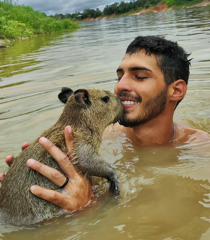 This Man From Brazil Who Lives On A Farm Shares A Beautiful Bond With A Rescued Capybara This Man From Brazil Who Lives On A Farm Shares A Beautiful Bond With A Rescued Capybara