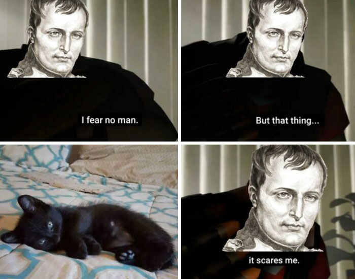 Turns Out A Lot Of Historical Figures Who Dreamed Of World Domination Were A Bit Freaked Out By Cats
