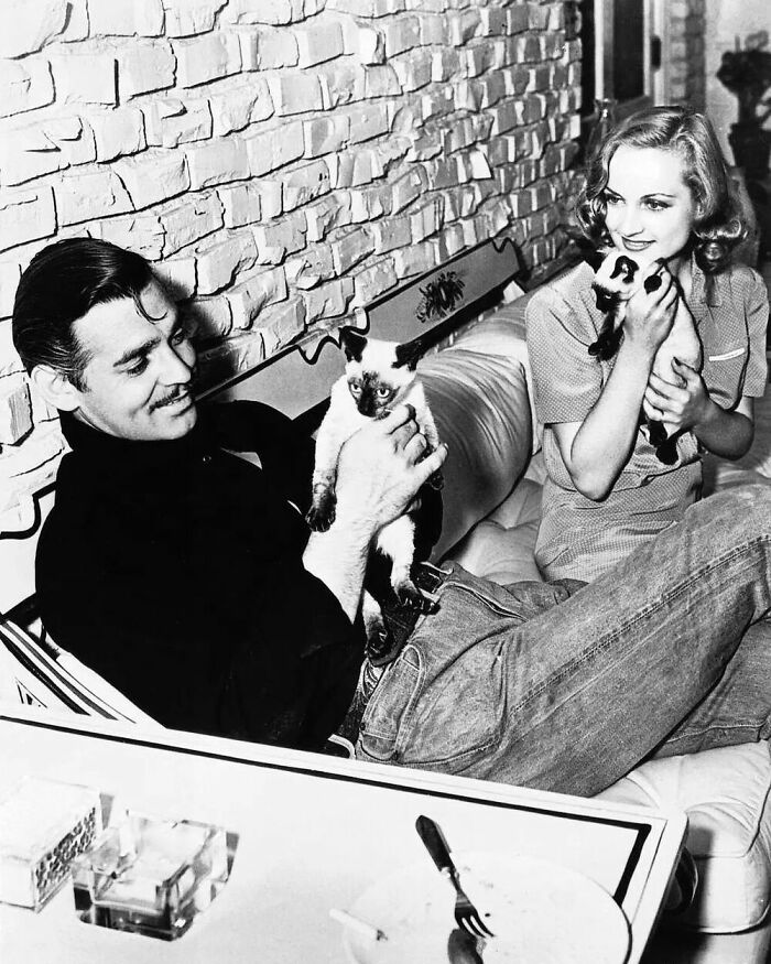 A Photo Of American Actors (And Cat Lovers) Clark Gable And Carole Lombard In 1940, Shortly After Their Marriage. San Francisco Valley, California, United States