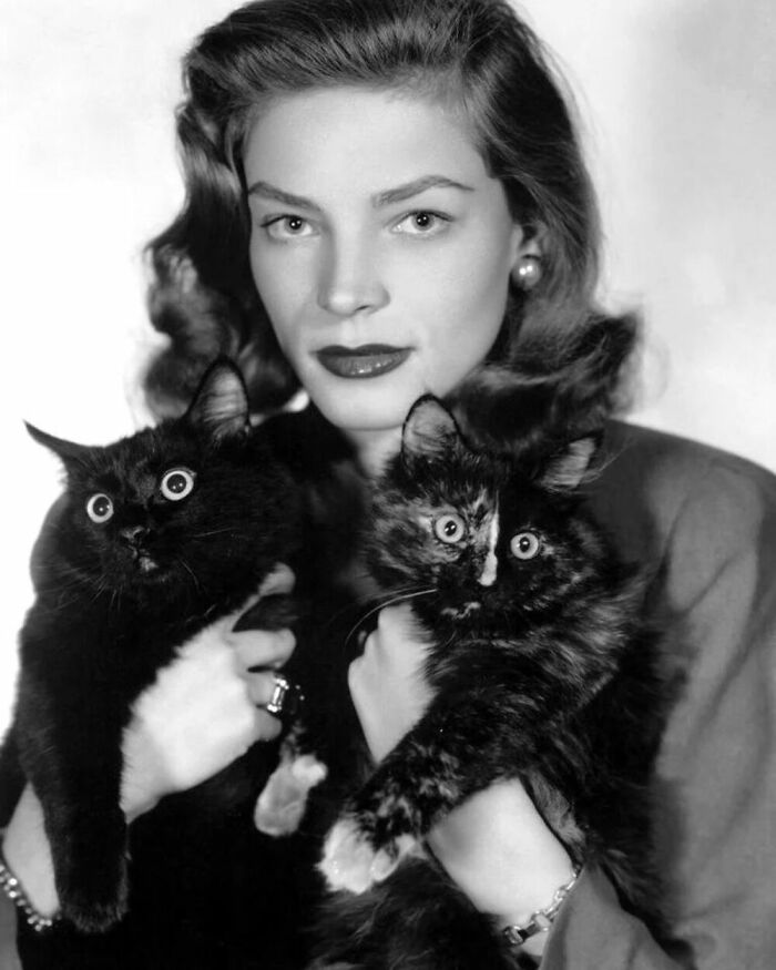 Golden Age Hollywood Actress, Lauren Bacall Posed For This Portrait With Two Cats That Looked More Like Little Owls. 1940