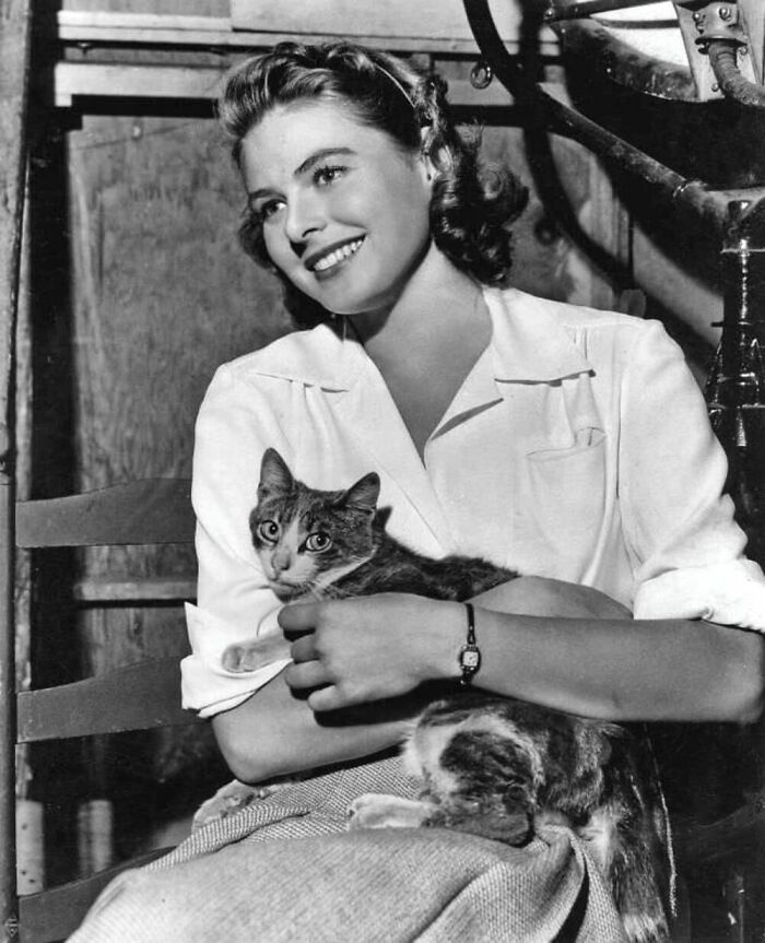 Star Of A Variety Of European And American Films, Swedish Actress Ingrid Bergman Was Just Like Us, In Love With Cats. Photo From The 1940s