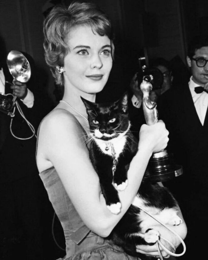 A Muse Of French Cinema, American Actress Jean Seberg Made Sure To Bring Her Cat To An Award Ceremony. The Photo Was Taken By Italian Photographer Gino Begotti In The 1960s In The Municipality Of Cortina D'ampezzo, Italy