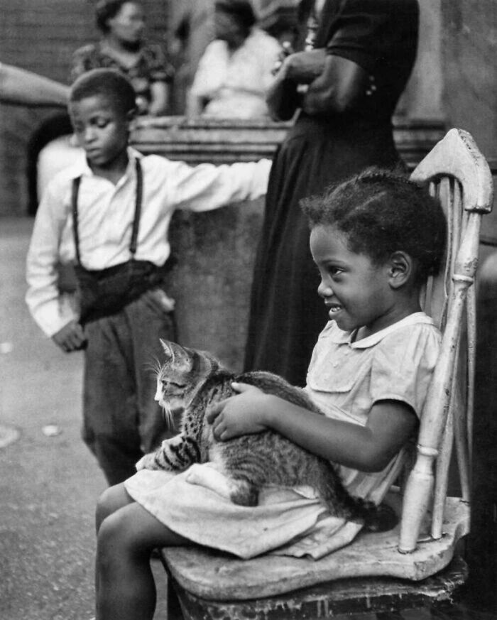 Notice The Happy Face Of This Little Girl With A Cat On Her Lap. There Is Nothing Better Than Being "Chosen" By Them, Right? New York City, United States, 1949
