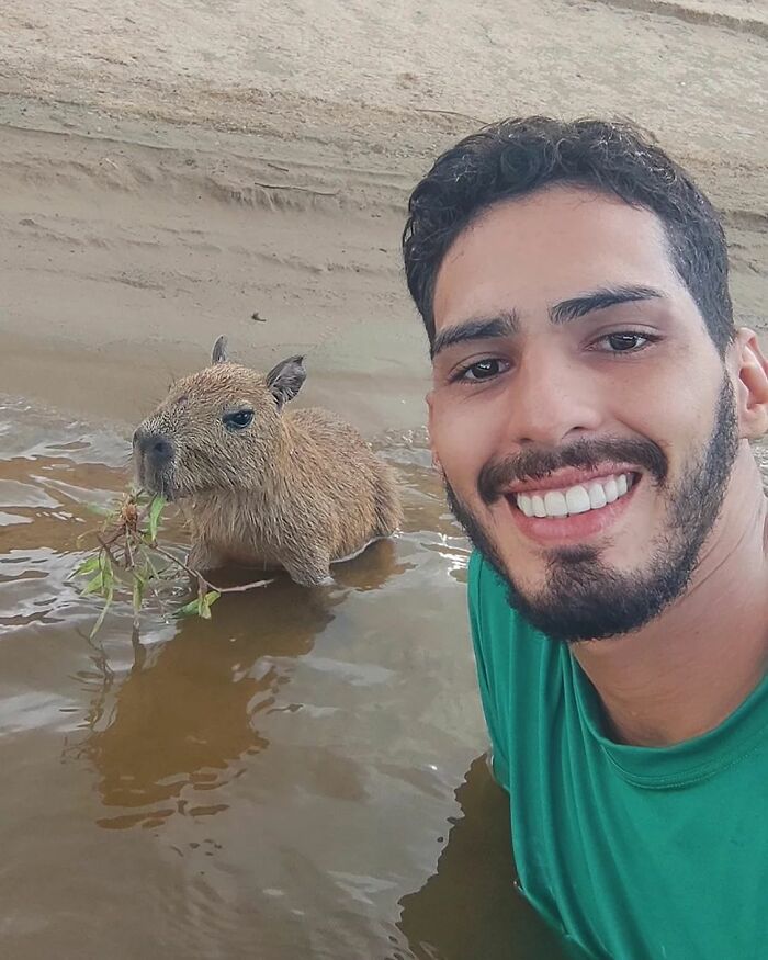 This Man From Brazil Who Lives On A Farm Shares A Beautiful Bond With A Rescued Capybara This Man From Brazil Who Lives On A Farm Shares A Beautiful Bond With A Rescued Capybara