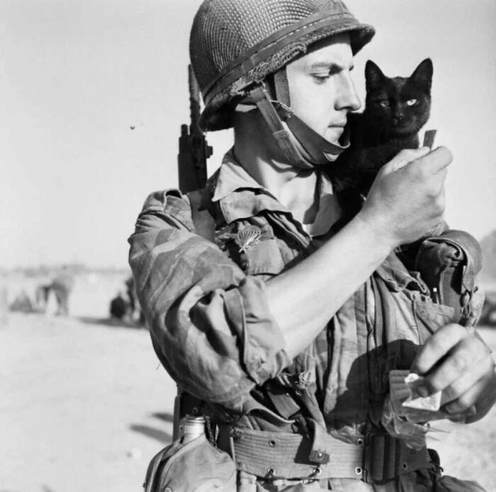 A Photo Taken By French Photographer And Paratrooper Paul Corcuff Of A Soldier And His Cat At A Camp In Cyprus In The Year 1956