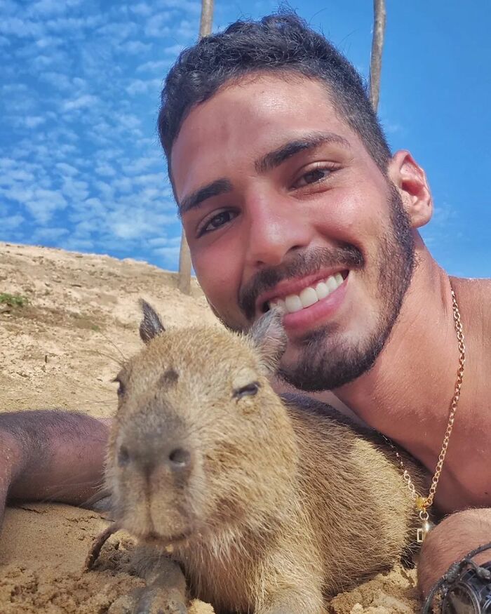 This Man From Brazil Who Lives On A Farm Shares A Beautiful Bond With A Rescued Capybara This Man From Brazil Who Lives On A Farm Shares A Beautiful Bond With A Rescued Capybara