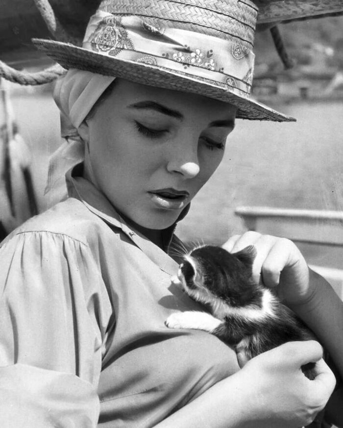 On A Boat Trip Taken In 1957, British Actress Joan Collins Carefully Carried And Caressed This Super Cute Kitty