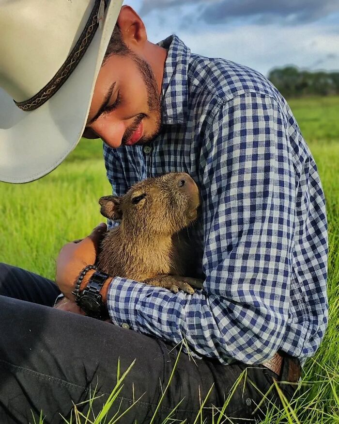 This Man From Brazil Who Lives On A Farm Shares A Beautiful Bond With A Rescued Capybara This Man From Brazil Who Lives On A Farm Shares A Beautiful Bond With A Rescued Capybara