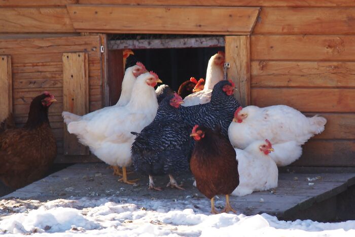 This Viral Thread Has People Pointing Out Things The Poor Know But The Rich Don't, And Here Are 40 Of Them