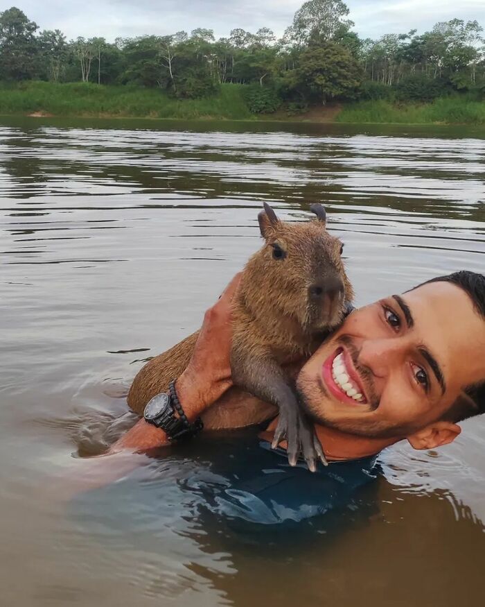 This Man From Brazil Who Lives On A Farm Shares A Beautiful Bond With A Rescued Capybara This Man From Brazil Who Lives On A Farm Shares A Beautiful Bond With A Rescued Capybara