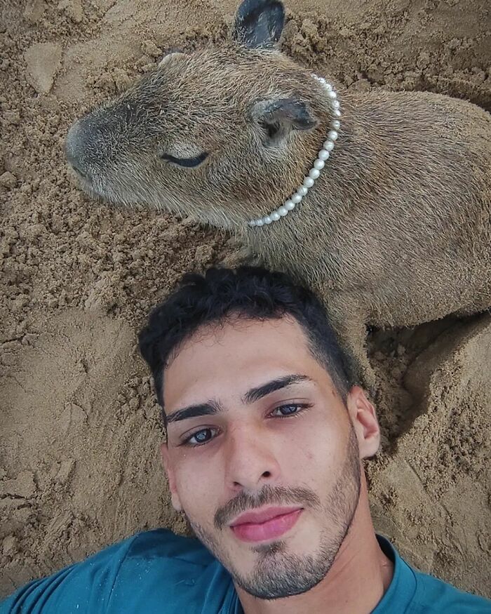 This Man From Brazil Who Lives On A Farm Shares A Beautiful Bond With A Rescued Capybara